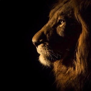 Meet your Posher, Kristel